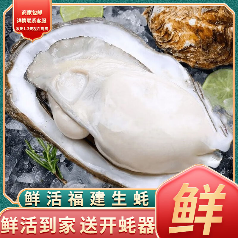 4斤鲜活特大生蚝福建蚝牡蛎肉生鲜批发包活贝类海鲜水产烧烤食材