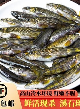 黄山淡水溪石斑鱼现杀新鲜食用鱼生鲜水产小溪杂鱼冷水鱼安徽特产