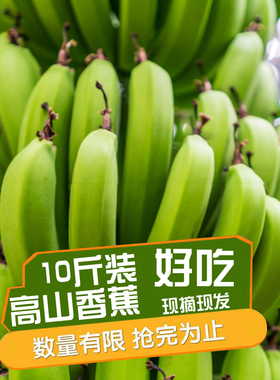云南高山香蕉青皮甜糯香蕉9斤banana新鲜现摘水果不打药整箱香蕉5