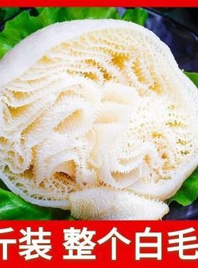 5斤装新鲜脆整个白毛肚牛百叶重庆火锅食材冒菜串串商用牛肚牛杂