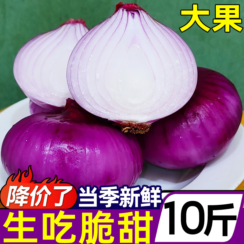 云南水果大洋葱新鲜10斤生吃脆甜紫皮圆葱蔬菜当季扁小洋葱头甜味