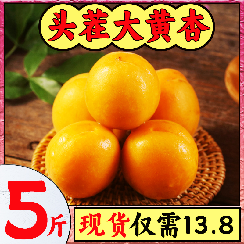 当季大黄杏杏子新鲜水果金太阳孕妇水果红蜜梅杏时令水果产地直发