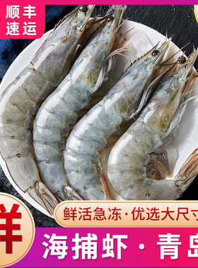 大虾青岛海捕海虾鲜活速冻基围虾活虾冷冻新鲜超大白对虾生鲜海鲜