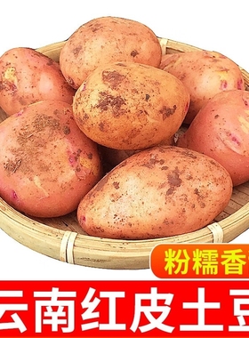 云南新鲜现挖红皮黄心粉糯土豆整箱10/5斤现挖马铃薯洋芋红皮土豆