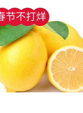 四川安岳黄柠檬500g新鲜水果皮薄多汁当季水果现摘一级果五份包邮