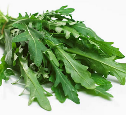 芝麻菜 火箭菜 沙拉西餐菜250g新鲜食用蔬菜