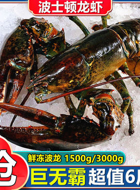 活动【波士顿龙虾6斤】超大波龙新鲜活冻加拿大澳龙非青龙红龙虾