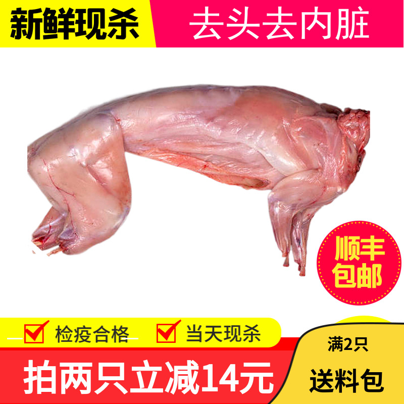 新鲜兔肉家养冷冻整只现杀生鲜兔子肉去头白条兔包邮2.3斤左右