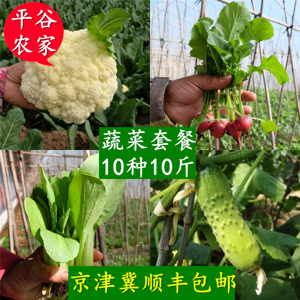 北京农家青菜新鲜蔬菜10斤当季本地套餐生鲜沙拉组合食材顺丰包邮