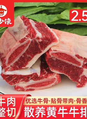 牛排骨2.5斤新鲜牛腩带肉牛肋排牛仔骨生鲜鲜切黄牛牛肉牛排冷冻