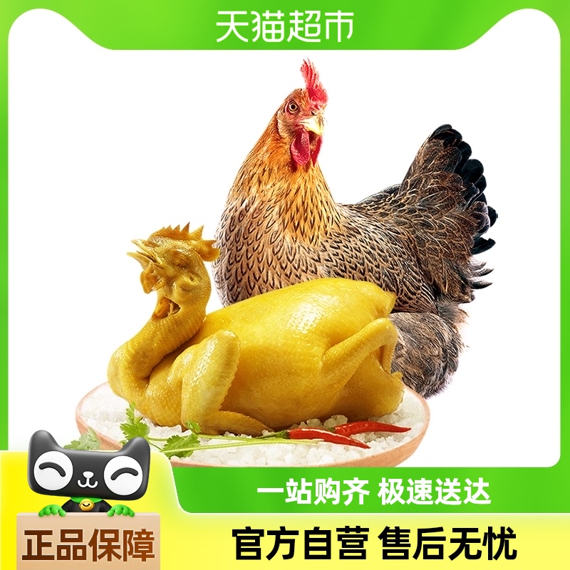 天农广府盐焗清远鸡500g走地鸡土鸡广式扒鸡开袋即食生鲜食品整鸡
