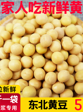 溢田大粒黄豆打豆浆专用5斤新鲜东北大豆五谷杂粮农家自种生豆芽