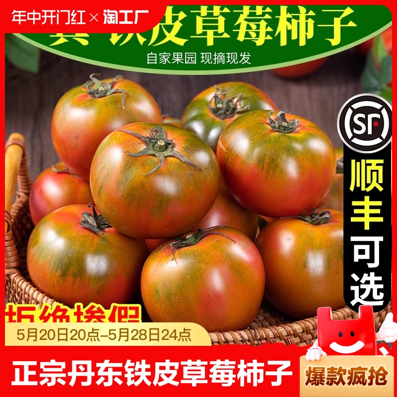 正宗丹东草莓柿子5斤自然熟生吃新鲜水果西红柿铁皮绿腚番茄自提