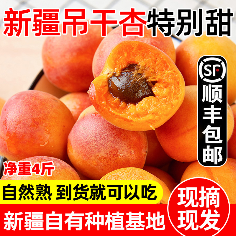 新疆小红杏吊干杏新鲜水果鲜杏当季整箱甜阿克苏吊杆杏子胜小白杏