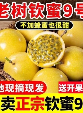 钦蜜9号黄金百香果当季新鲜水果1/3/5斤黄皮送开果器包邮纯甜