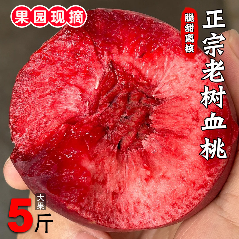 紫肉血桃5斤红心桃子新鲜水果当季整箱脆甜水蜜桃毛桃黄时令孕妇1