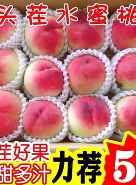 桃子水蜜桃5斤 现摘当季孕妇水果水蜜桃脆甜毛桃整箱包邮红桃脆桃