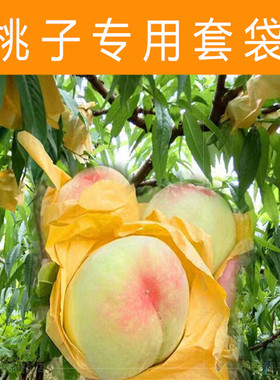 桃子专用套袋包桃子纸袋水蜜桃蟠桃黄桃防鸟放虫水果专用果树套袋