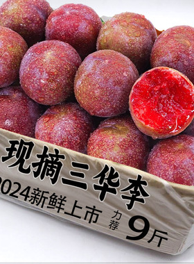 新鲜现摘三华李新鲜水果红心李子当季孕妇酸脆芙蓉包邮5斤农自种
