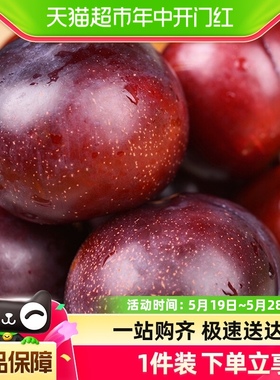 国产黑布林李子5斤家庭装 单果70g以上当季新鲜水果