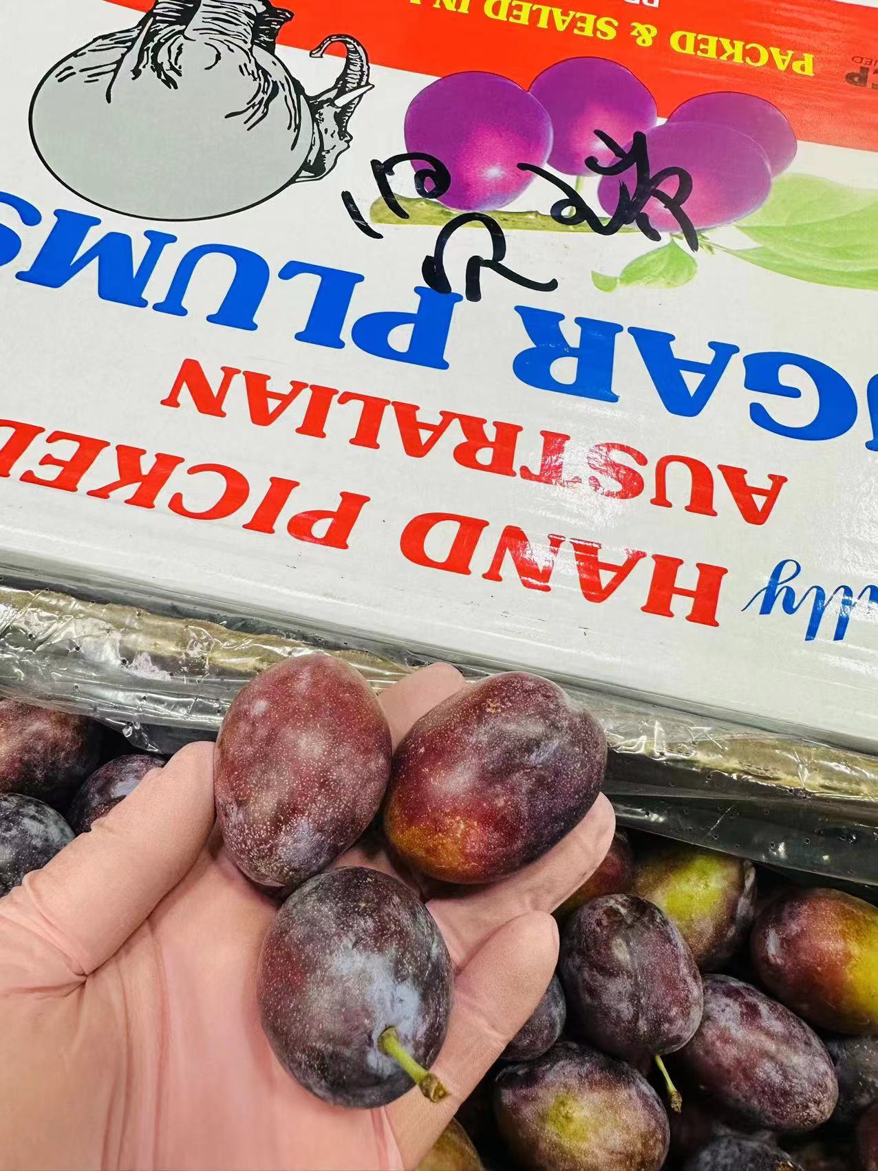 新鲜水果澳大利亚进口西梅澳洲西梅李子大果3斤多地顺丰包邮