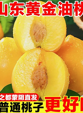 黄金油桃当季新鲜水果蒙阴黄桃整箱孕妇当季应季山东脆甜黄心桃子