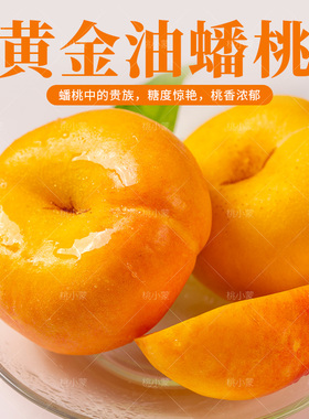 桃小蒙 黄金油桃新鲜水果桃子3斤/4.5斤蒙阴蜜桃黄桃黄金油蟠桃