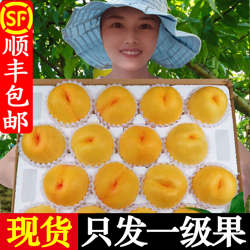 黄油桃新鲜水果现货5斤黄心黄肉黄金桃子山东蒙阴当季整箱大黄桃