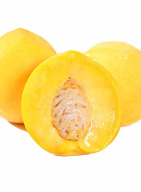 【顺丰发货】现摘现发黄桃新鲜桃子当季孕妇水果应季脆农产品8月