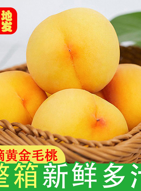 新鲜黄桃 黄金蜜桃子毛桃当季孕妇水果端午节送礼 黄金蜜桃