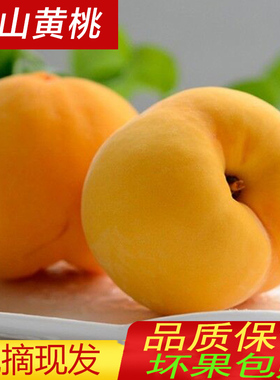 现摘新鲜砀山黄桃10斤应当季时令孕妇水果蜜桃毛脆桃子整箱5包邮