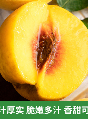 深州桃乡黄桃油桃新鲜水果当季5斤大果黄心6-7个脆甜应季农家现摘