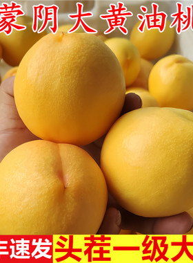 黄油桃新鲜水果蒙阴黄桃黄金油桃应季脆甜黄心油桃现摘整箱桃子