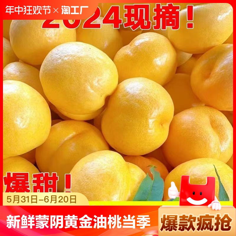 山东蒙阴黄金油桃4.5斤【2250g】黄桃芒果黄桃水果当季新鲜脆桃