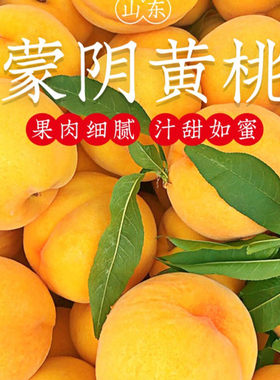 新鲜黄桃5斤水果现摘现发黄心毛黄桃子整箱大桃水蜜黄桃孕妇水果