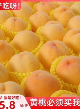 现摘现发砀山黄桃10斤应当季时令孕妇新鲜水果甜软脆毛大桃子整箱