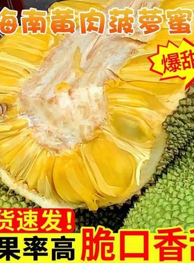 海南三亚菠萝蜜新鲜水果当季木波罗蜜黄肉整箱20斤/35斤整个包邮