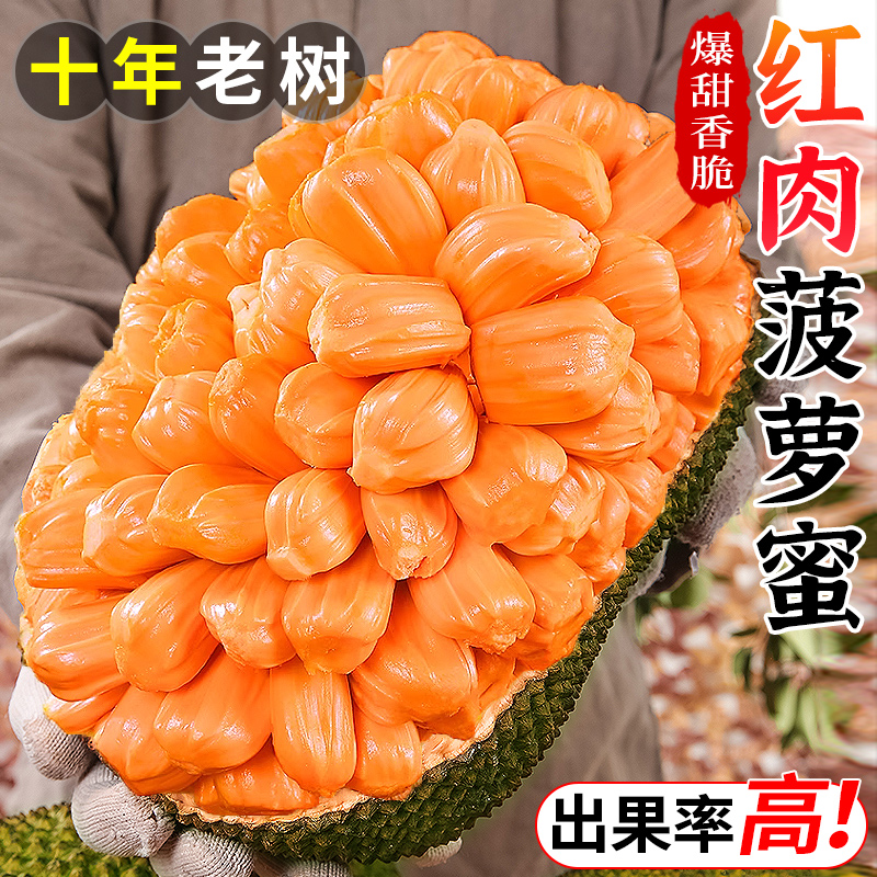 越南红肉菠萝蜜一整个18斤应当季树上熟新鲜水果整箱红心波罗蜜10
