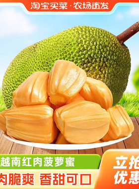 越南红肉菠萝蜜新鲜当季水果香甜波罗蜜一整个大果百亿补贴