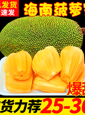 海南三亚菠萝蜜新鲜水果当季黄肉一整个整箱10-35斤木波罗蜜特产5