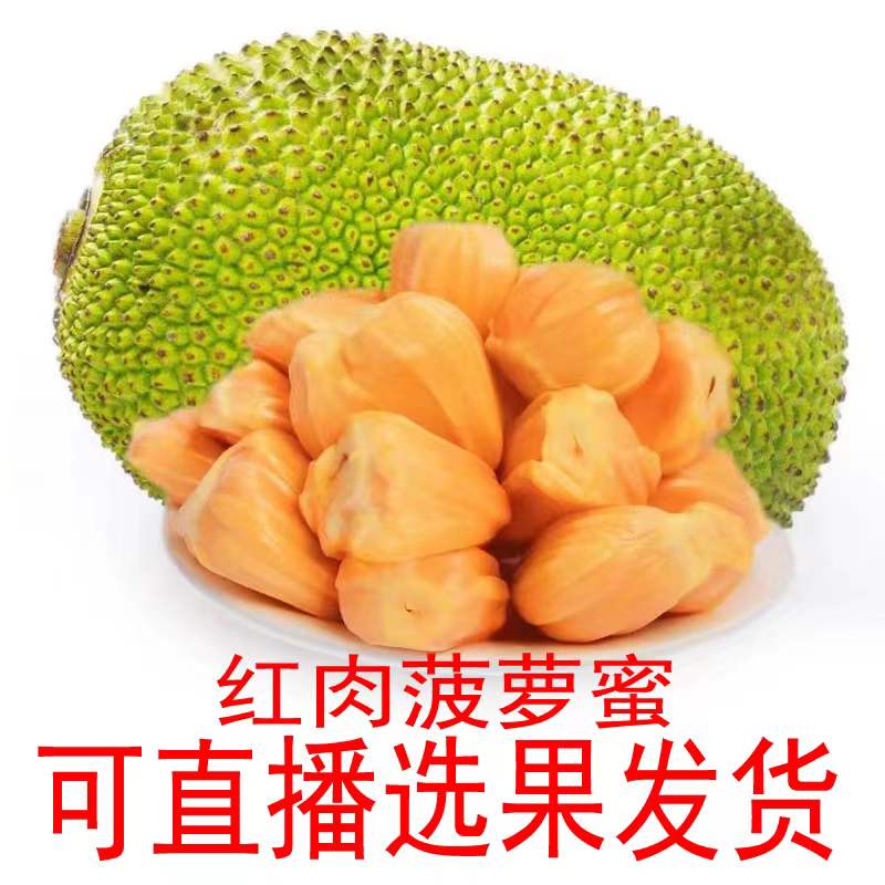 直播选果海南菠萝蜜新鲜水果包邮  红肉波罗蜜  30-40斤