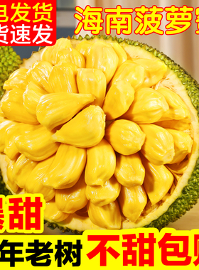 【48小时发货！】一整个！三亚特产菠萝蜜黄心波罗蜜当季20-25斤