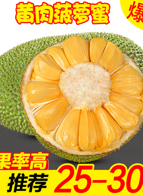 海南黄肉菠萝蜜当季新鲜一整个大树木菠萝现摘波罗蜜包邮整箱特产