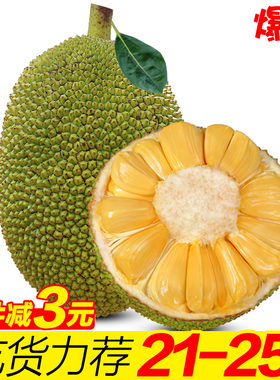 海南三亚黄肉菠萝蜜新鲜水果包邮当季一整个木波罗蜜40-20斤特产
