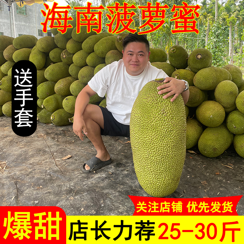 现摘海南菠萝蜜一整个新鲜水果包邮当季20-40斤干苞黄肉波罗蜜