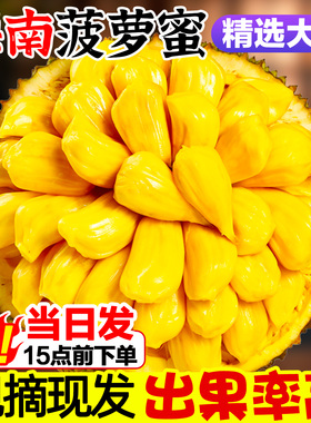 海南菠萝蜜一整个现摘现发黄心菠萝蜜干包波罗蜜新鲜水果产地直发