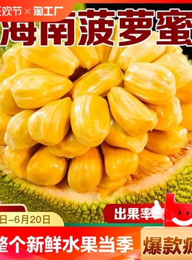 海南菠萝蜜一整个新鲜水果当季干苞黄肉波罗蜜整箱特产包邮40斤红