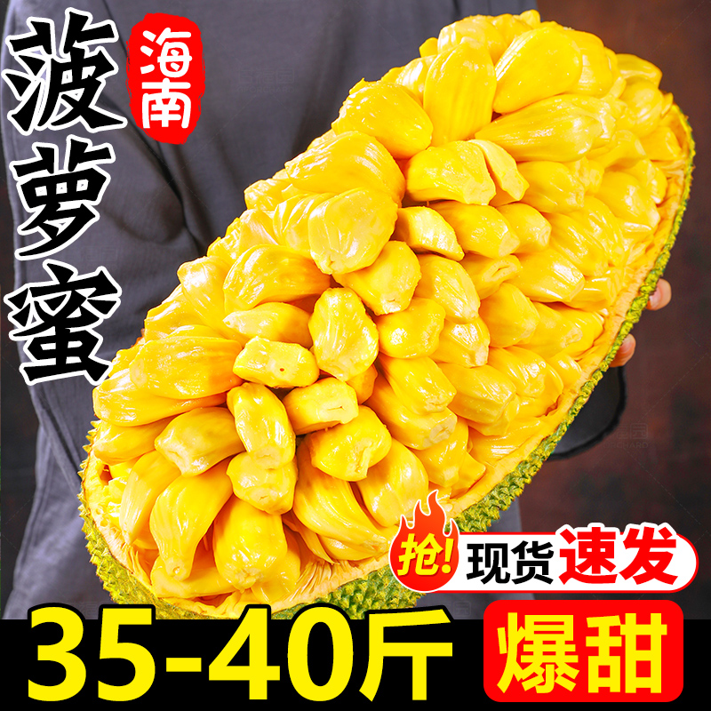 海南黄肉菠萝蜜新鲜水果20-45斤波罗蜜当季整箱特产一整个包邮红