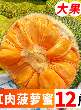 海南红肉菠萝蜜6-18斤一整个红心泰八波罗蜜当季新鲜水果整箱包邮