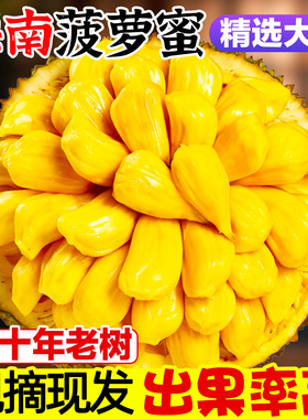 海南菠萝蜜一整个现摘现发红心菠萝蜜干包波罗蜜新鲜水果产地直发